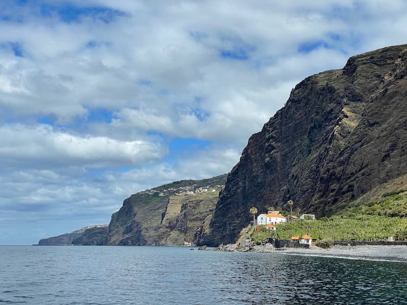 Vineyard on the coast in Madeira