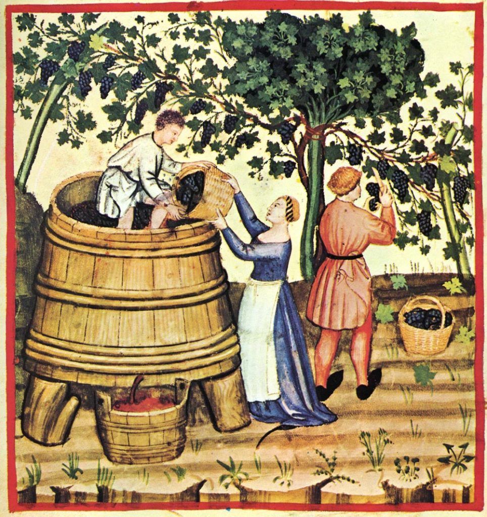 Ancient picture of winemaking