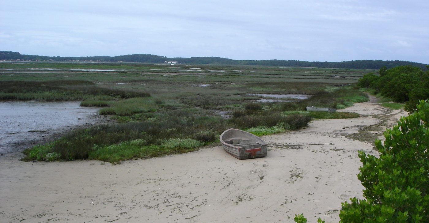 abandoned boat on the beach