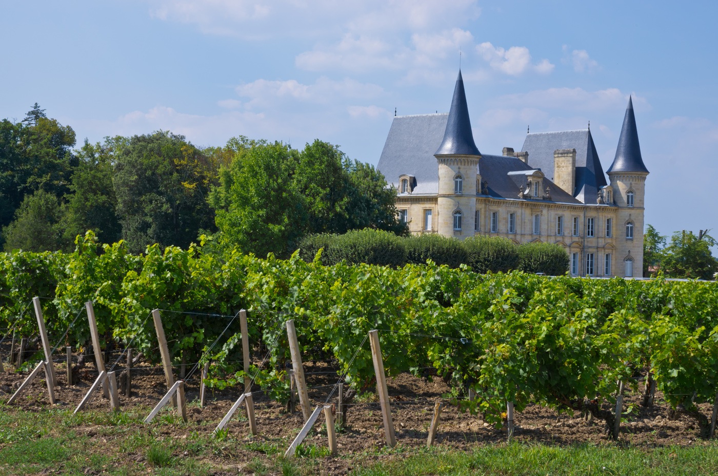 Cheateau in Bordeaux wine region with a vineyard in the foreground