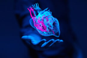 image of a heart