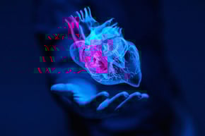 image of a heart