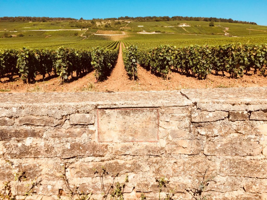 La Tache AOC at Domaine de la Romanée-Conti - an expensive AOC