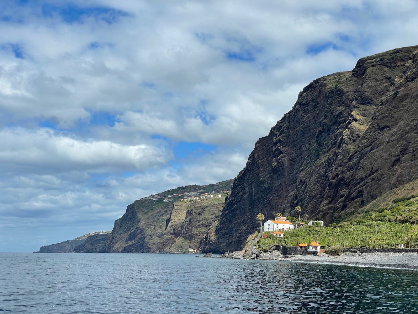 Cliffs and beach-side vineyards in Madeira