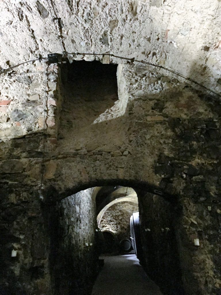 Roman arches as you enter the cellar of Nikolaihof