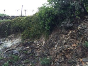 Soil types in Wachau