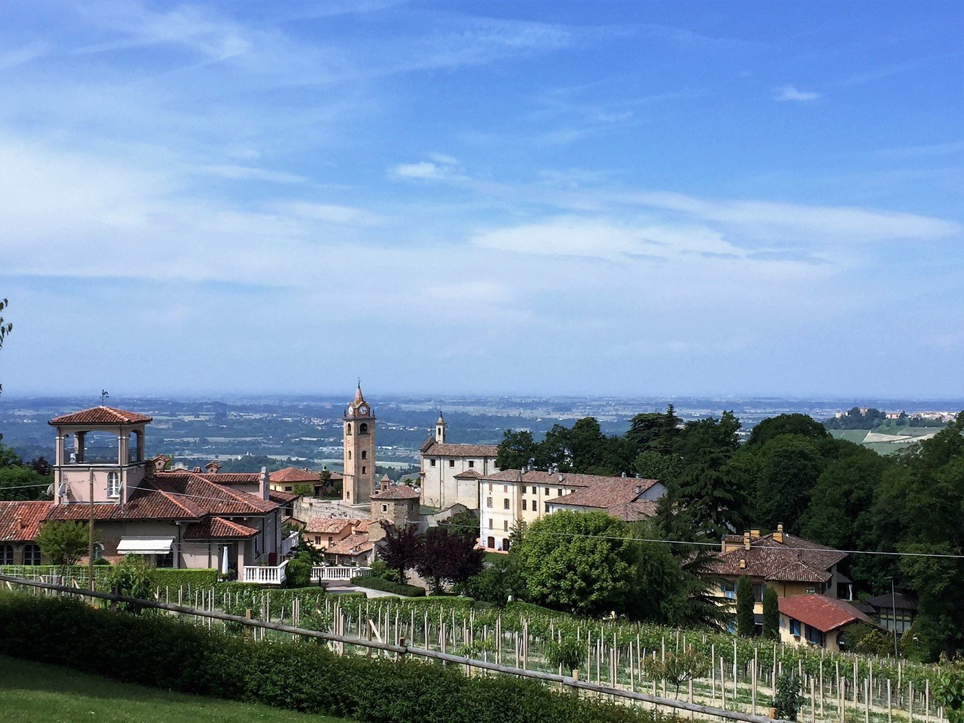 Conterno Fantino: a perfect example of modern Barolo