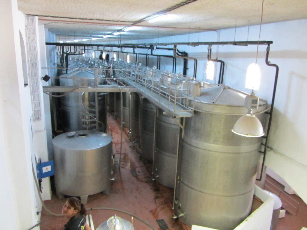 Inside Santo Wines winery
