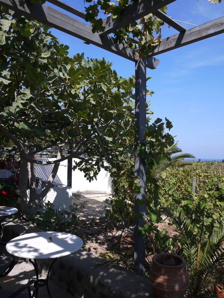 The outdoor tasting 'room' at Domaine Sigalas with the sea in the distance