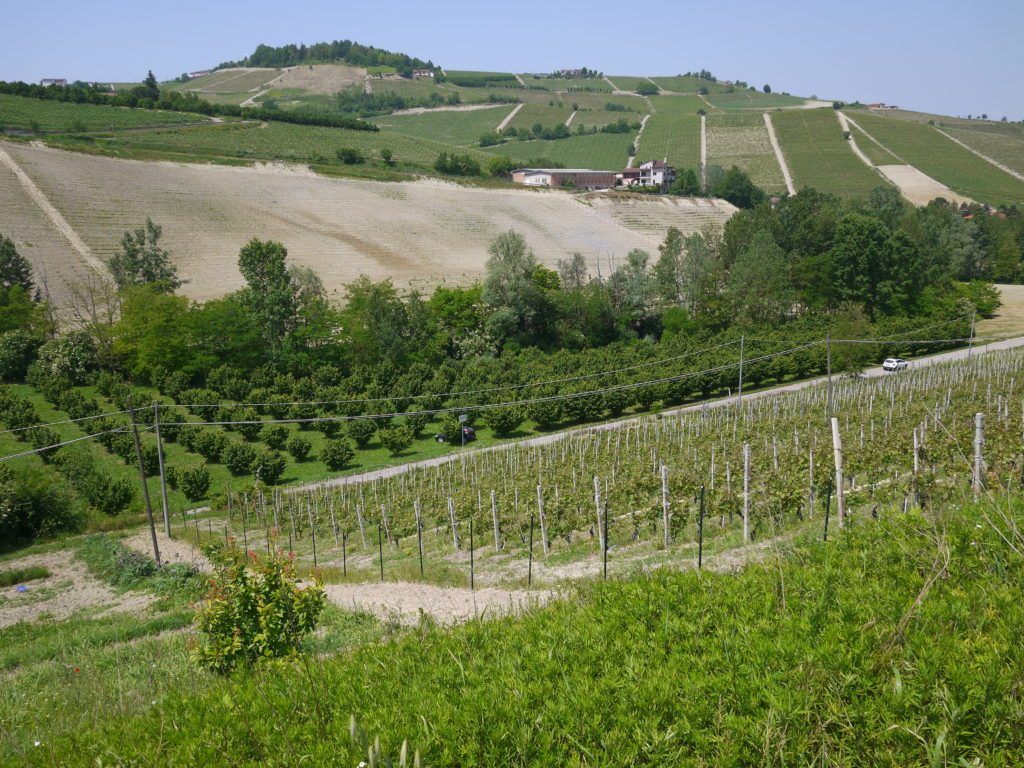 View from Manuel Marinacci vineyard, at the border of Barbaresco and Dolcetto DOCG. His vineyard is steep. Across the street, a plot of land which shows the types of soil in Piedmont, a geology lesson in one picture.