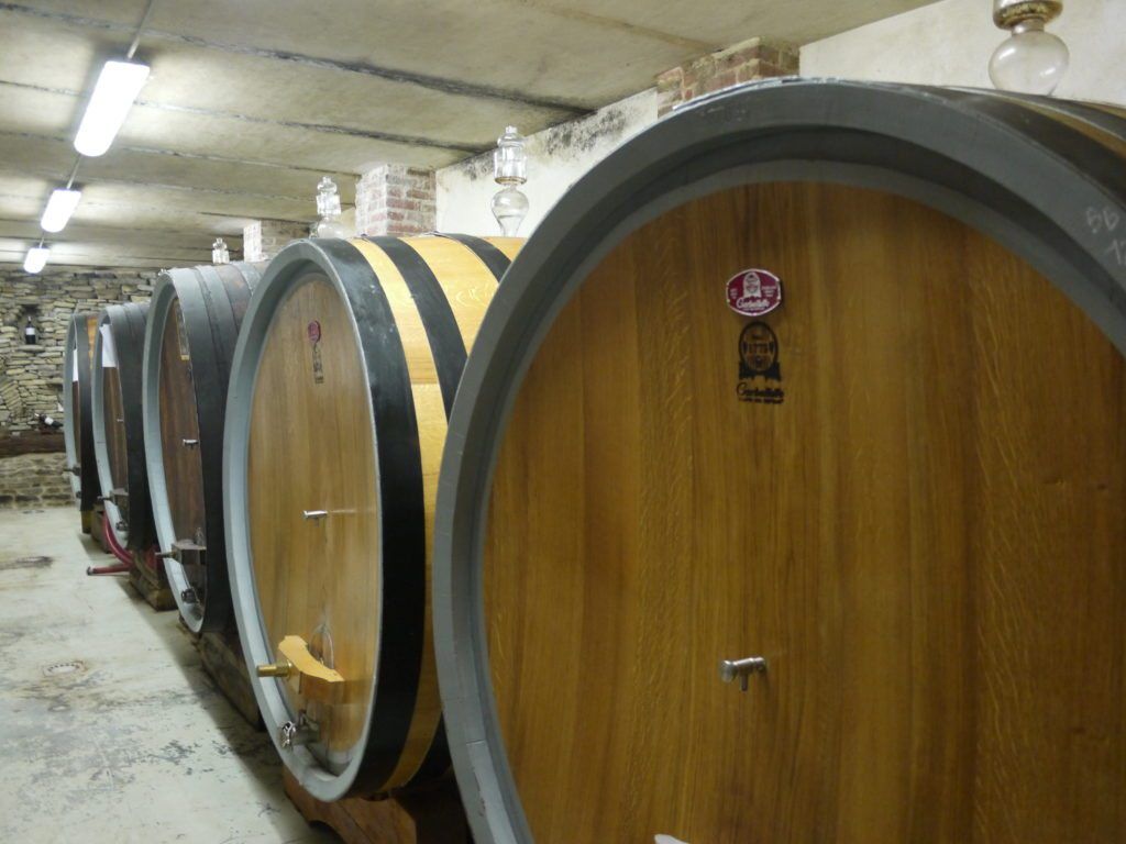 Slavonian botti where Manuel Marinacci ages his Barbaresco