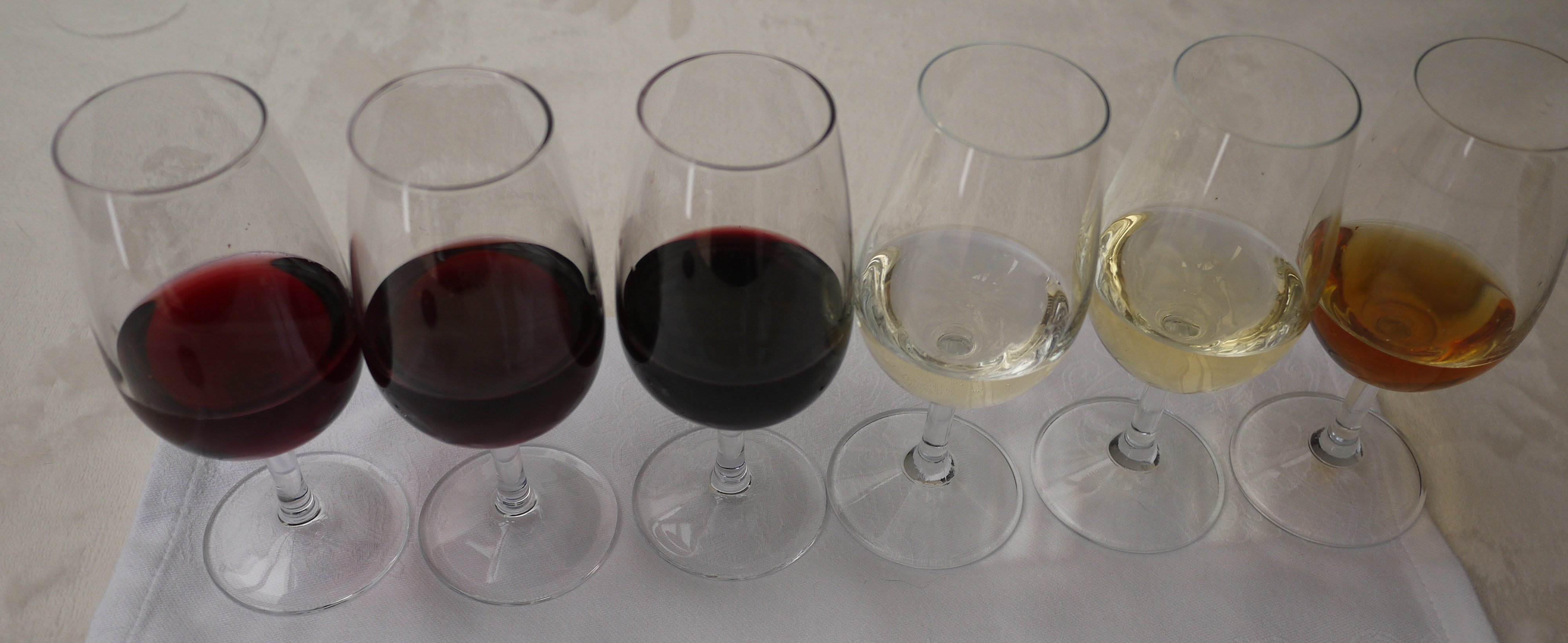 Wine Folly Tested: The Best Red Wine Glasses 