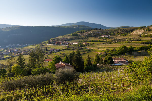 Rolling hills in the wine region of Valpolicella, Italy
