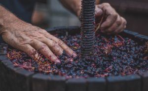 Grapes being pressed