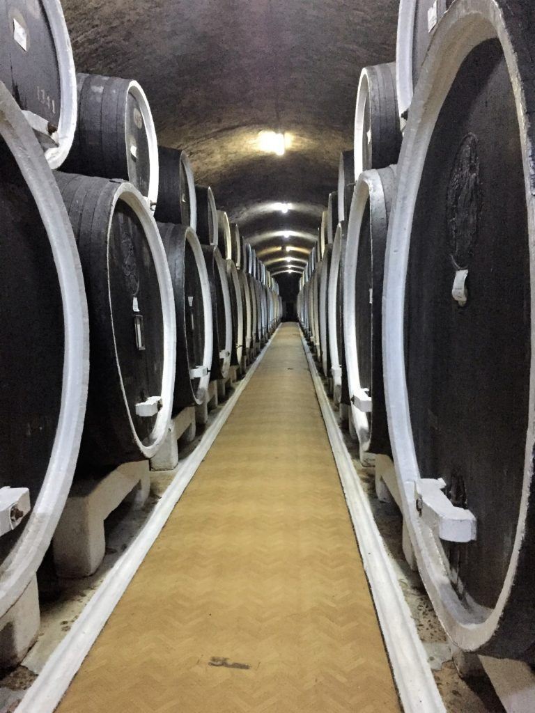 cellar with old oak large barrels