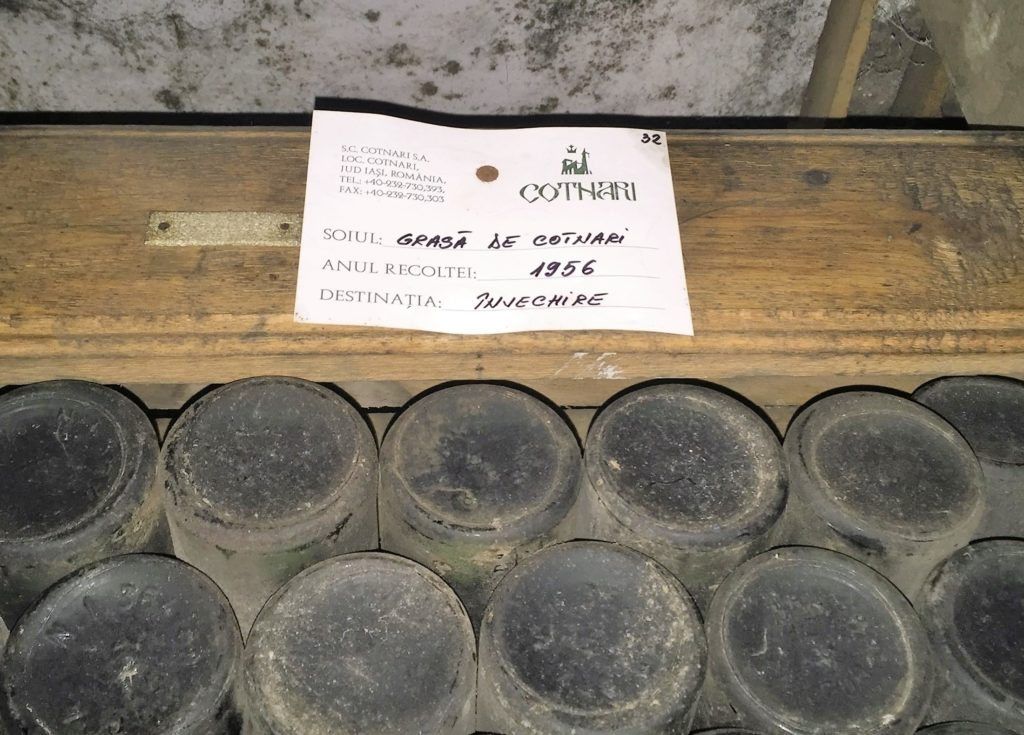 bottles with mold in cellar