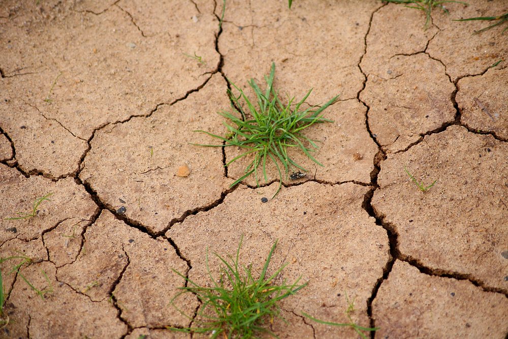 Alcohol causes hangovers and dehydration - like this parched earth