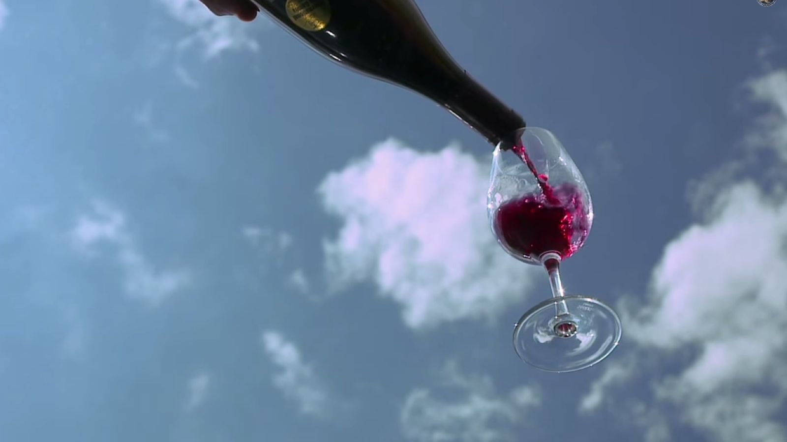 Wine pouring into a glass from the film Mondovino