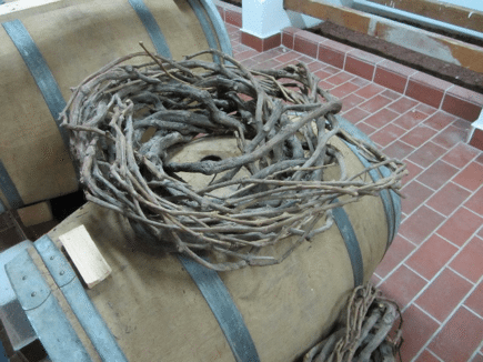 Woven vine from Santorini