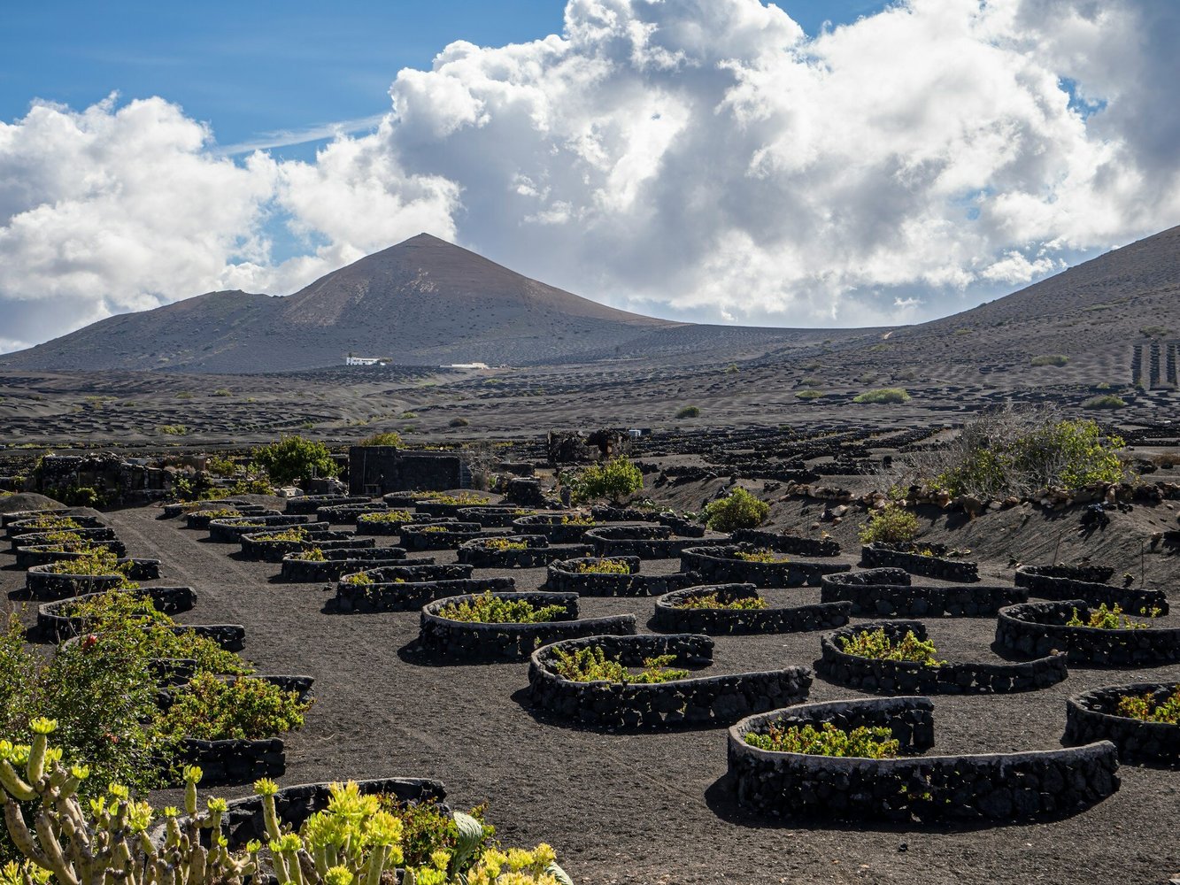 World’s weirdest wineries: Nine vineyards in impossible places