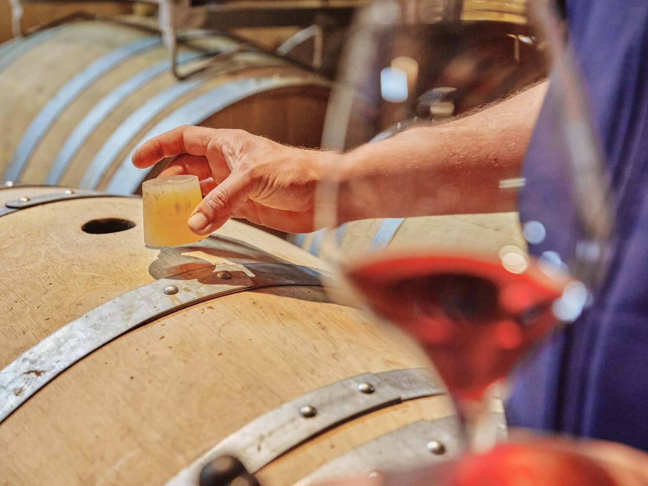How is wine made? The ancient art of winemaking (Video)