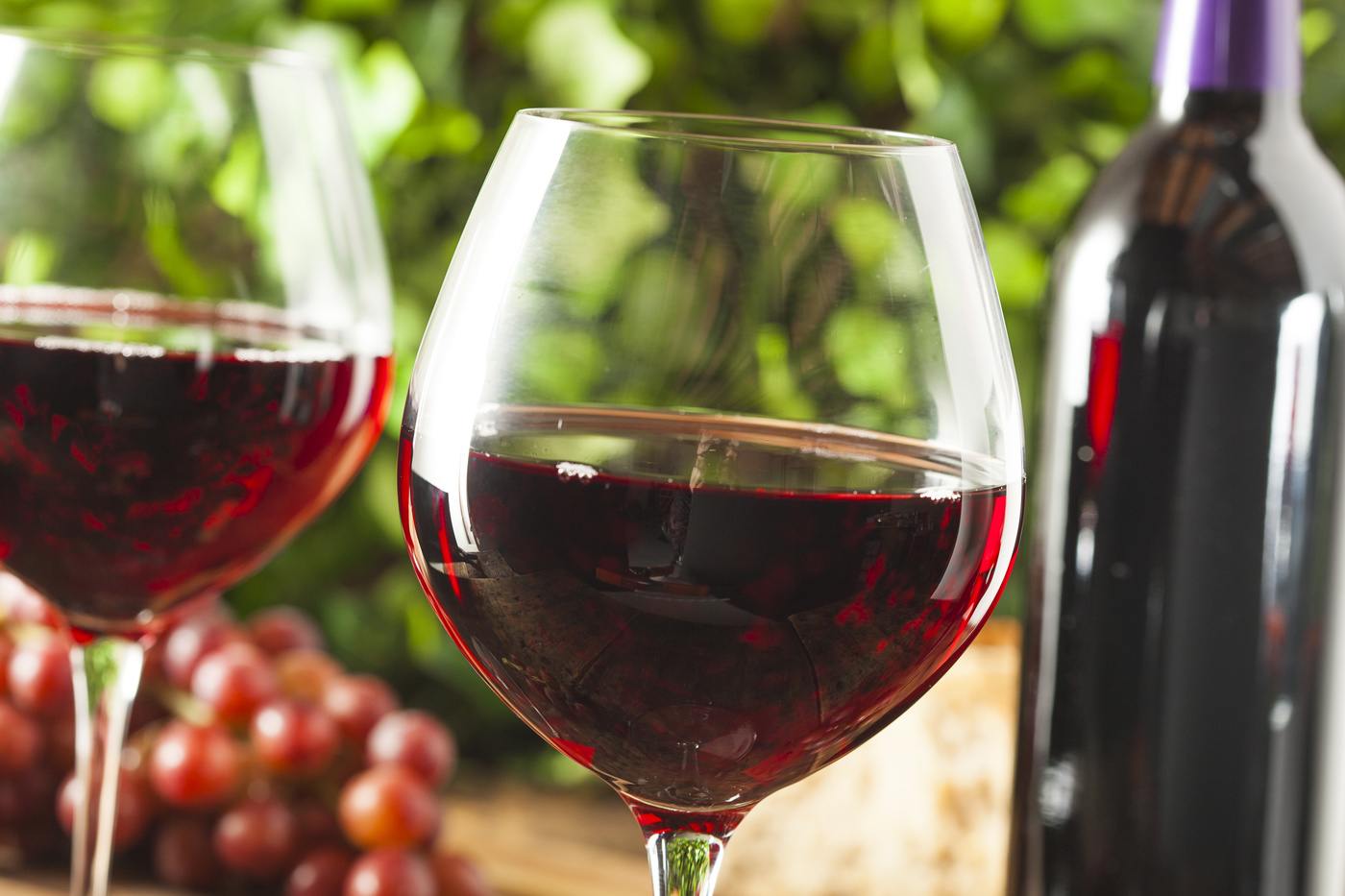 How to choose the best red wine (with video) - Vincarta