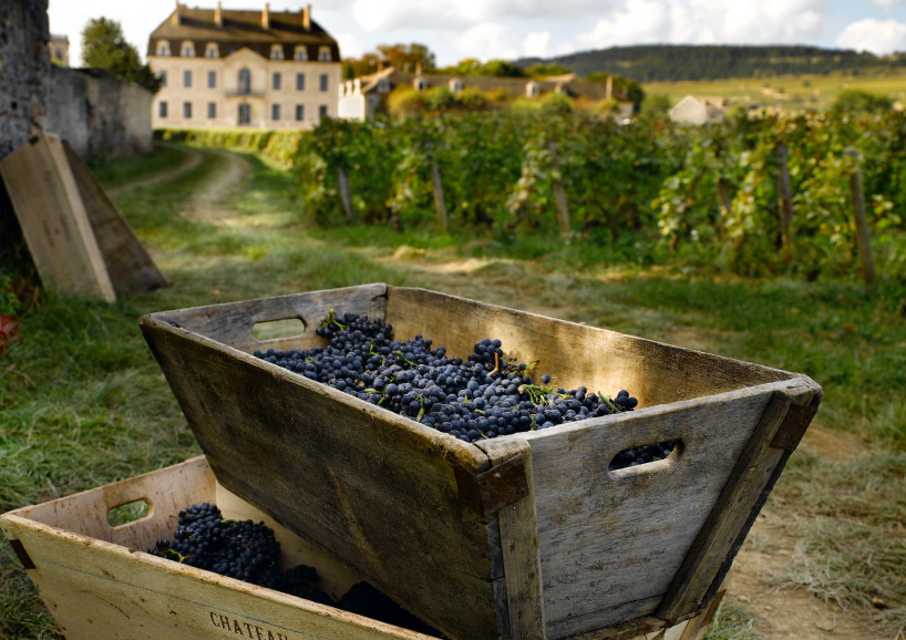 Nos Vins - Château De Pommard